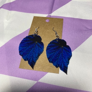 Begonia Pavonina Leaf Earrings