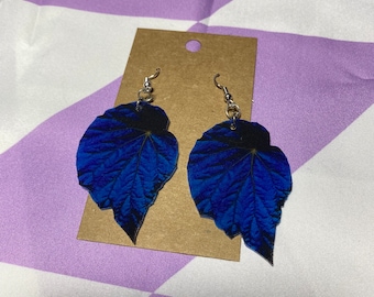 Begonia Pavonina Leaf Earrings