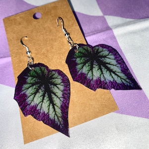 Purple Begonia Rex Leaf Earrings