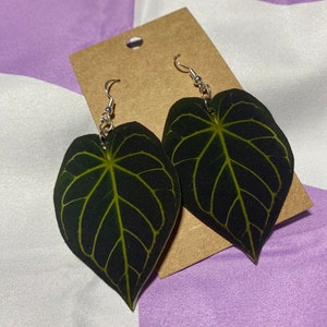 Anthurium Magnificum Leaf Earrings