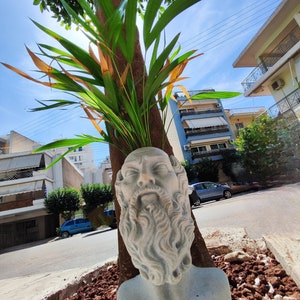 Socrates sculpture pot