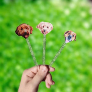 Drink Stirrers Personalized with Dog Face, Swizzle Sticks, Pet Birthday Stir Sticks, Pet Drink Stirrers, Wedding Drink Sticks, Stirrer Stick