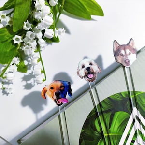 drink stirrers personalized, pet drink stirrers, pet birthday stir sticks, swizzle sticks, wedding drink sticks, stirrer stick