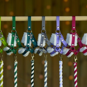 May include: Seven colorful dog harnesses with matching leashes. The harnesses are made of soft fabric with a fleece lining and have silver metal buckles and rings. The leashes are made of braided rope with a white and green color scheme.