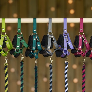 May include: Seven colorful dog harnesses with matching rope leashes hanging on a wooden dowel. The harnesses are made of nylon webbing with metal hardware and have a soft fleece lining. The leashes are made of braided rope.