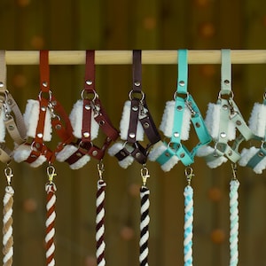 May include: Seven different colored dog harnesses with matching leashes. The harnesses are made of soft fabric with a fleece lining and have metal buckles and rings. The leashes are made of braided rope.