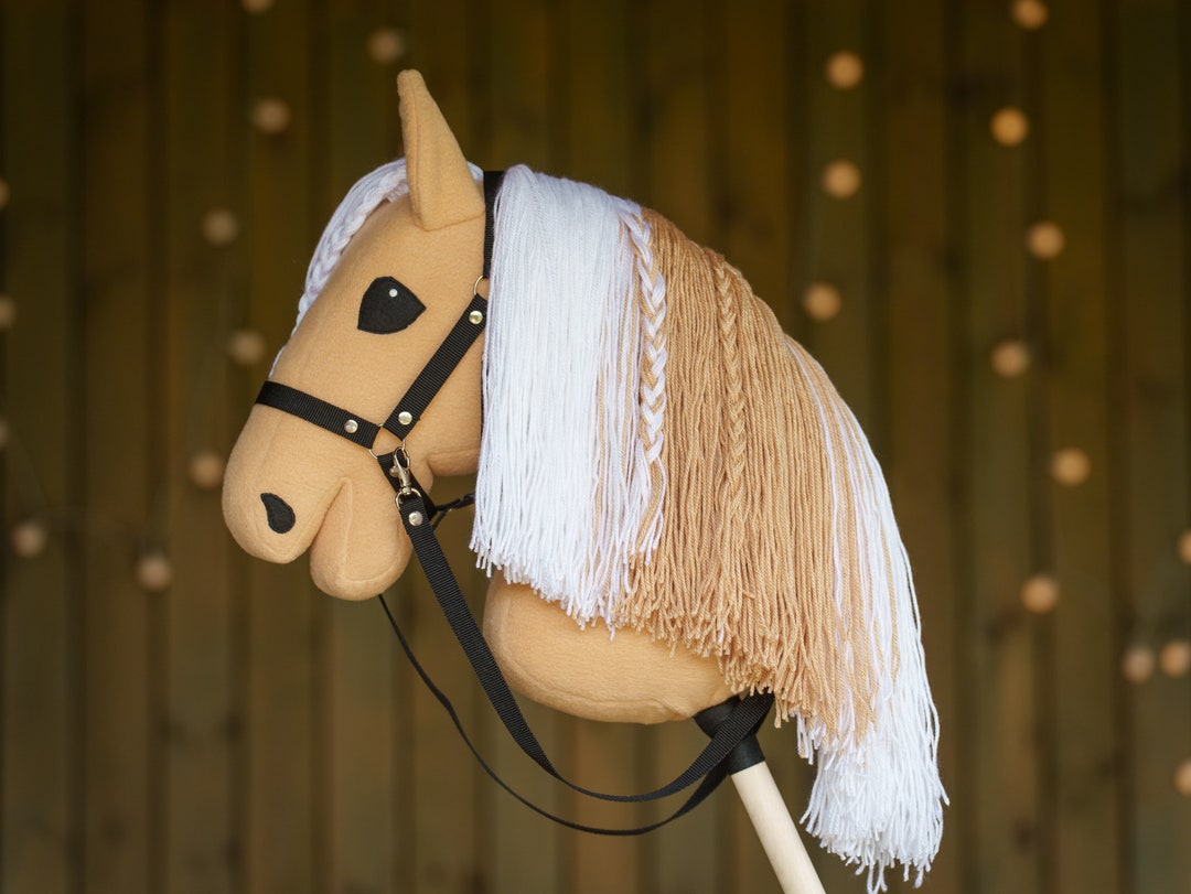 Cheval de loisir Palomino, cheval de loisir A3, cheval de loisir