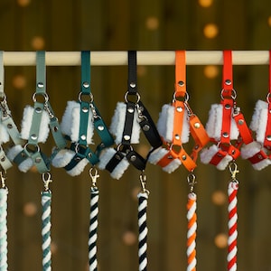 May include: A set of six colorful dog harnesses with matching rope leashes. The harnesses are made of soft, padded fabric and have a fleece lining. The leashes are made of braided rope and have a metal clip.