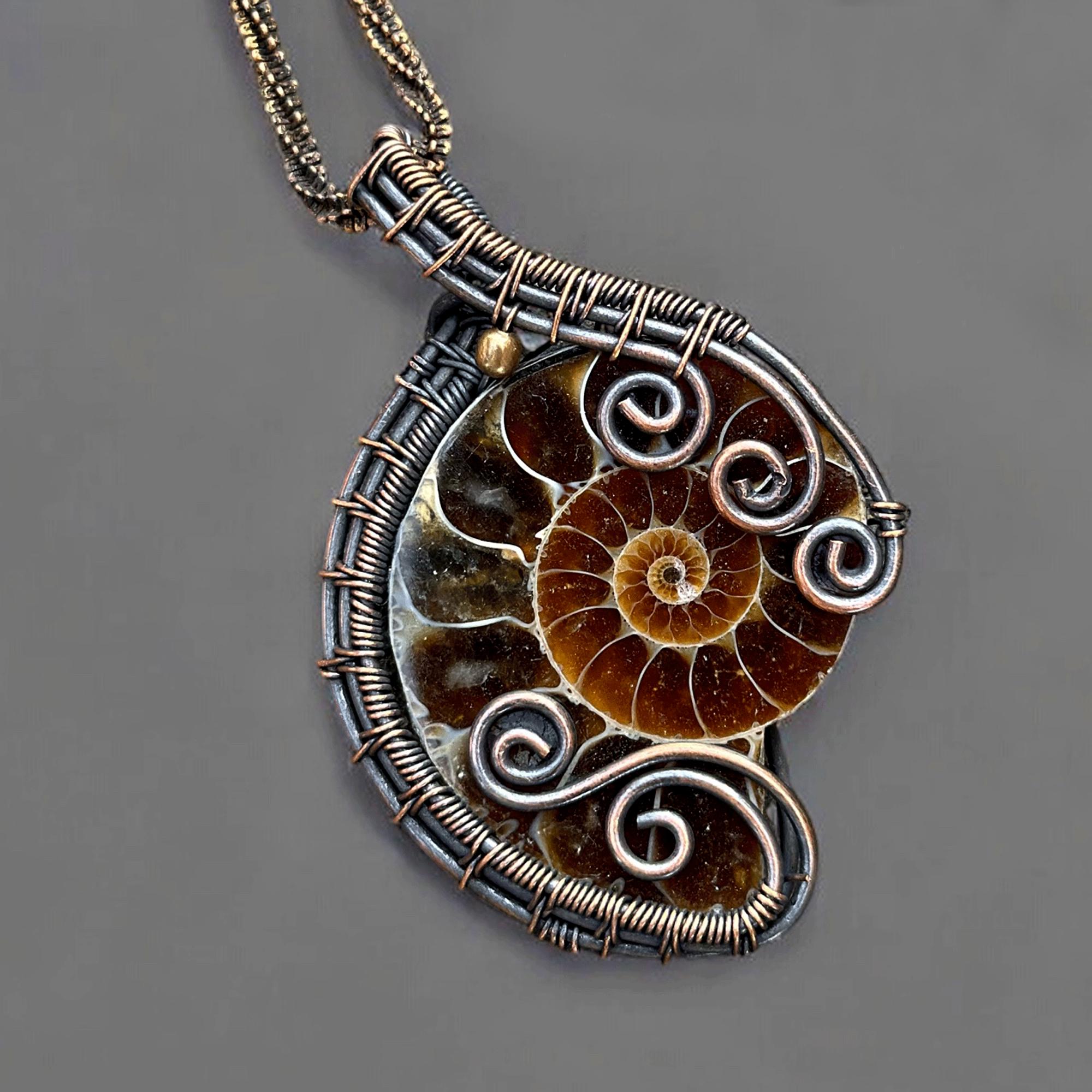 Ammonite fossile proprietà - Dimora degli Angeli Gioielli