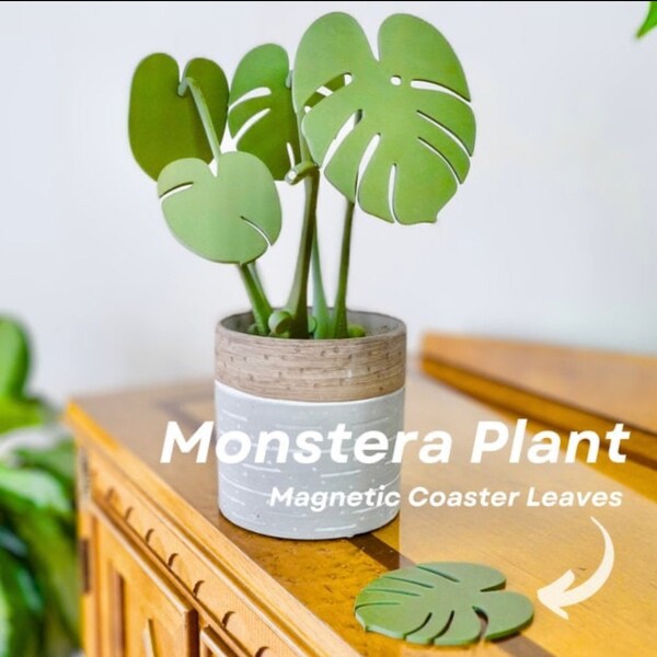 Plante d’intérieur imprimée en 3D avec feuilles de soucoupe magnétique | Plante d'intérieur Monstera extensible | Sous-verres | Sous-verres
