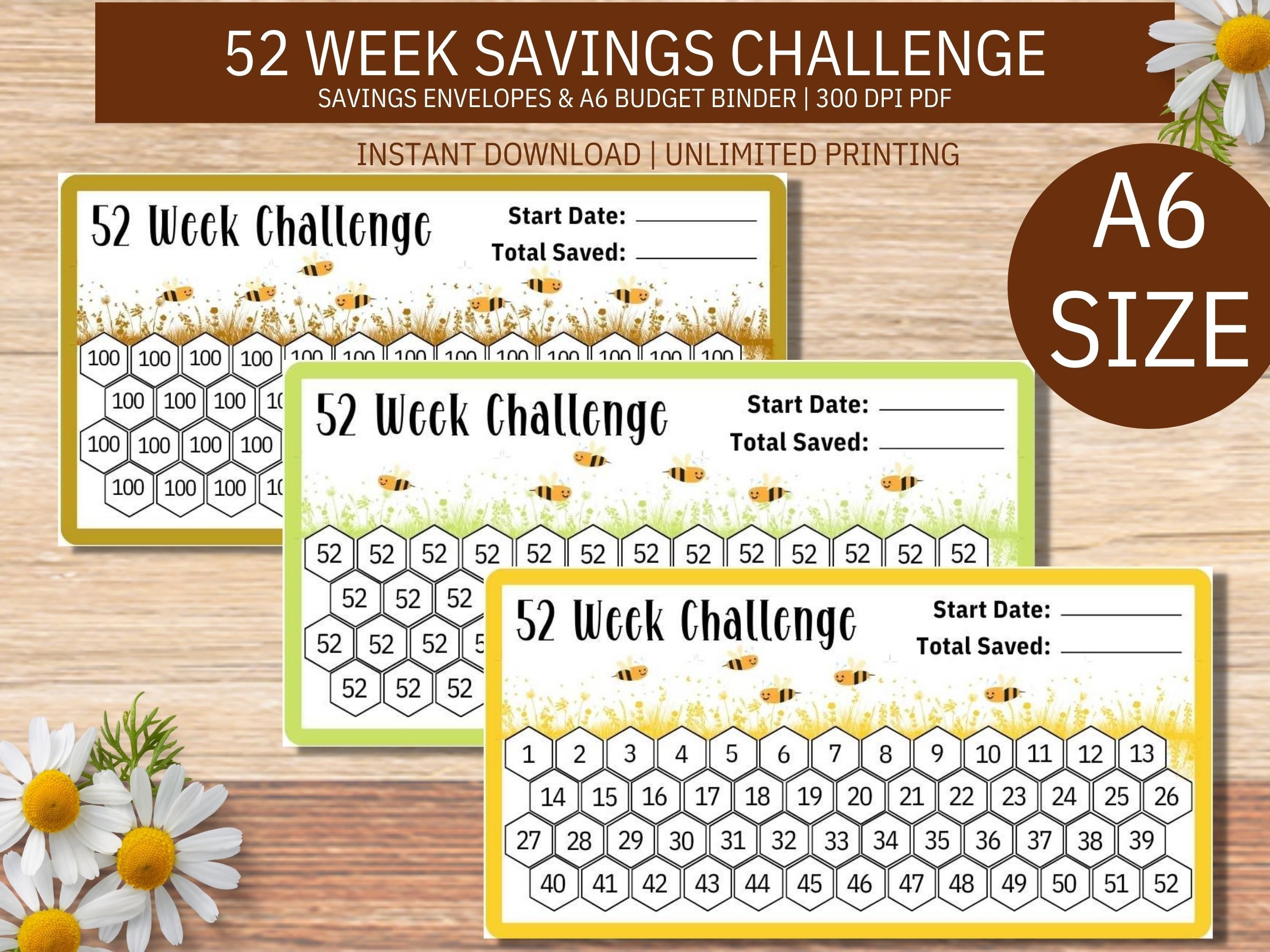 Savings Binder 52 Week Savings Challenge Couple Brother 52 Weeks