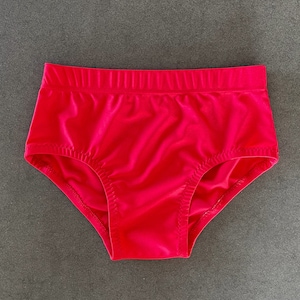 MATTE normale taille Pro-worsteltrunks / VELE KLEUREN en maten / Klassieke professionele worsteluitrusting / Superheld-cosplay