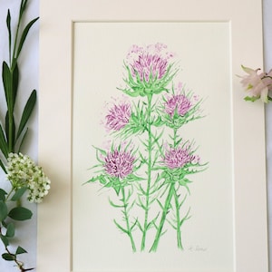 Scottish Thistle Watercolour Painting: Original Signed Wall Art