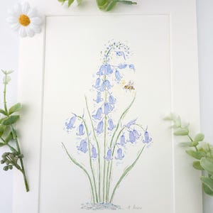 Bluebell original signed watercolour painting, Bluebell picture, Bluebell wall decor, Bluebell art, Bluebell gift, Bluebell present
