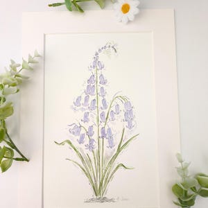 Bluebell original signed  watercolour painting, Bluebell picture, Bluebell botanical, Bluebell art, Bluebell Mum Nana Grandma gift