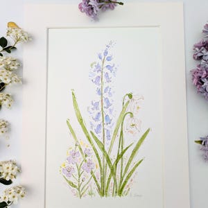 Bluebell and Snowdrop hand-painted original signed watercolour painting, Bluebell picture, Bluebell art, Wildflower art, Bluebell gift