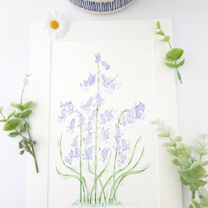 Bluebell original signed watercolour painting, Bluebell picture, Bluebell art, Bluebell Mum gift, Bluebell present, Bluebell gift