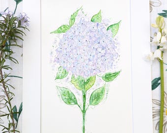 Hydrangea 0riginal hand-painted Watercolour Painting: Signed Botanical Art