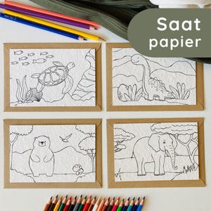 Einpflanzbare Ausmalkarten für Kinder mit Kuverts | Malen und Pflanzen | Malkarte | Ausmalbild | Dino | Bär | Schildkröte | Elefant