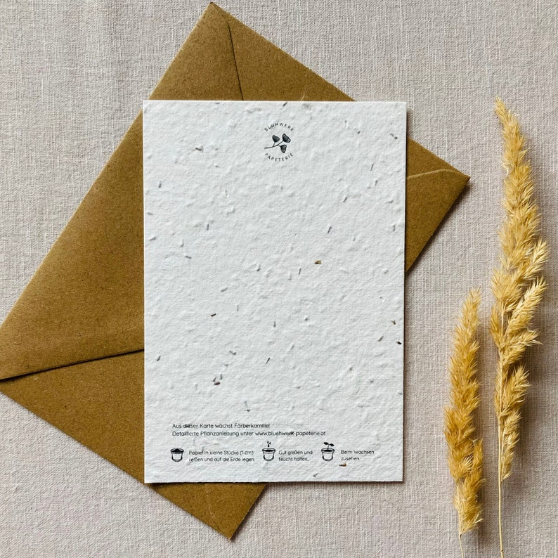 Plantable greeting card Seed card Minimalist Sustainable birthday Bicycle Flowers image 3