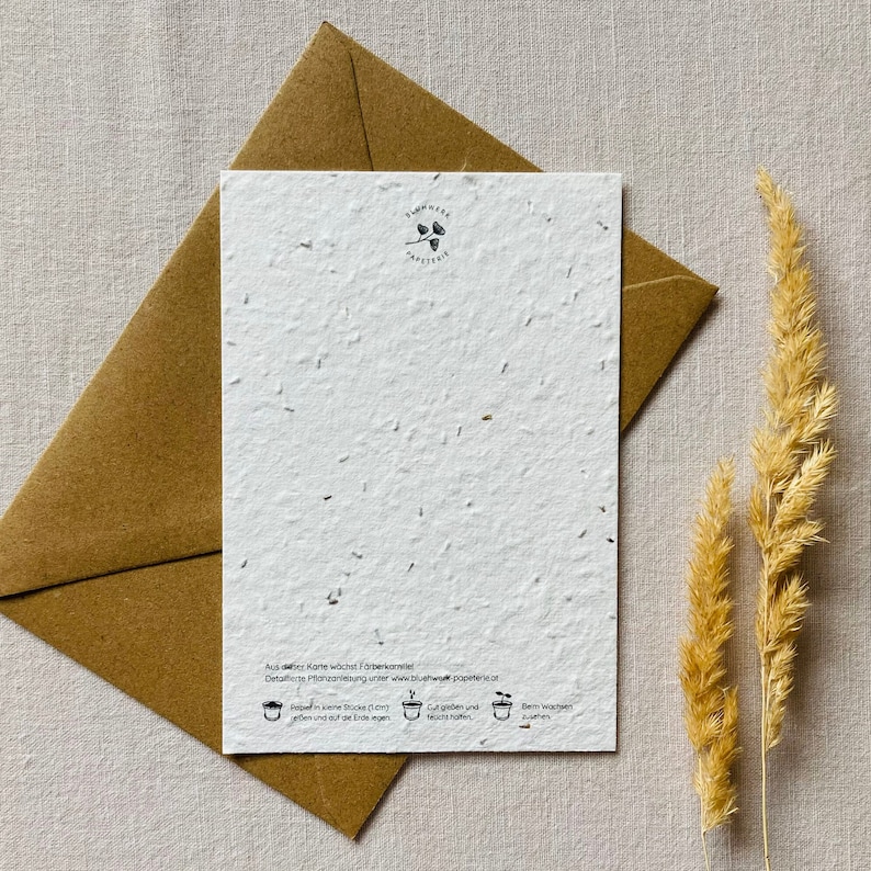 Einpflanzbare Hochzeitskarte Glückwunschkarte zur Hochzeit Samenkarte Heißluftballon Minimalistisch Nachhaltig Liebe Bild 3