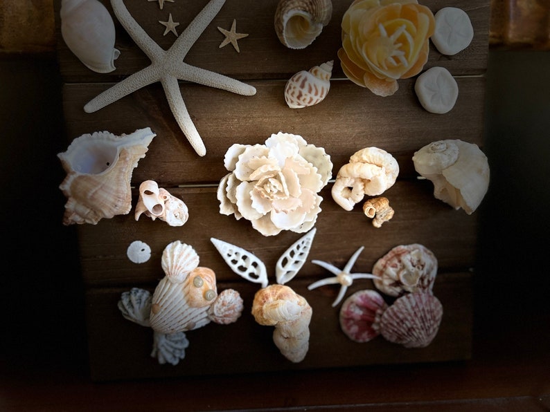 Handcrafted Seashell Wall Art: Coastal Beach Decor - Etsy