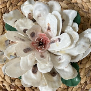 Oyster Shell Magnolia Blossom, Hand Painted, Southern Charm Gifts ...
