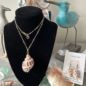 Sea Shell Necklace, Shells & Chains Necklace, Handmade Shell Necklace, Natural Shell Necklace, Natural Shell Pendant, Genuine Shell Jewelry