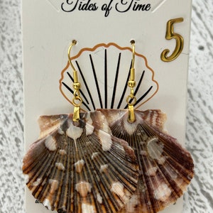 Speckled Scallop Shell Earrings: Natural Beach Jewelry, Hypoallergenic