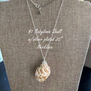 Sea Shell Necklace, Shells & Chains Necklace, Handmade Shell Necklace, Natural Shell Necklace, Natural Shell Pendant, Genuine Shell Jewelry