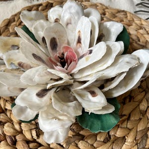 Oyster Shell Magnolia Blossom, Hand Painted, Southern Charm Gifts ...