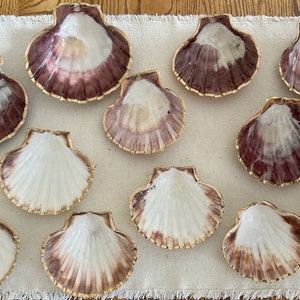 Scallop Shell Ring Dishes, Scallop Shell Jewelry Dish, Scallop Trinket Dish, Shell Art Jewelry Dish, Scallop Shell Décor, Coastal Decor