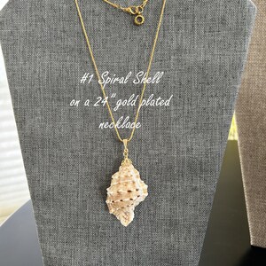 Sea Shell Necklace, Shells & Chains Necklace, Handmade Shell Necklace, Natural Shell Necklace, Natural Shell Pendant, Genuine Shell Jewelry
