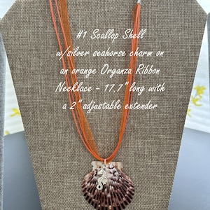 Sea Shell Necklace, Shells & Chains Necklace, Handmade Shell Necklace, Natural Shell Necklace, Natural Shell Pendant, Genuine Shell Jewelry