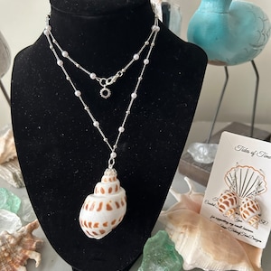 Sea Shell Necklace, Shells & Chains Necklace, Handmade Shell Necklace, Natural Shell Necklace, Natural Shell Pendant, Genuine Shell Jewelry