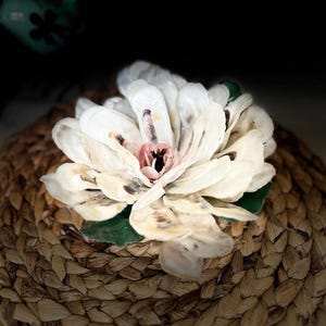 Oyster Shell Magnolia Blossom, Hand Painted, Southern Charm Gifts ...