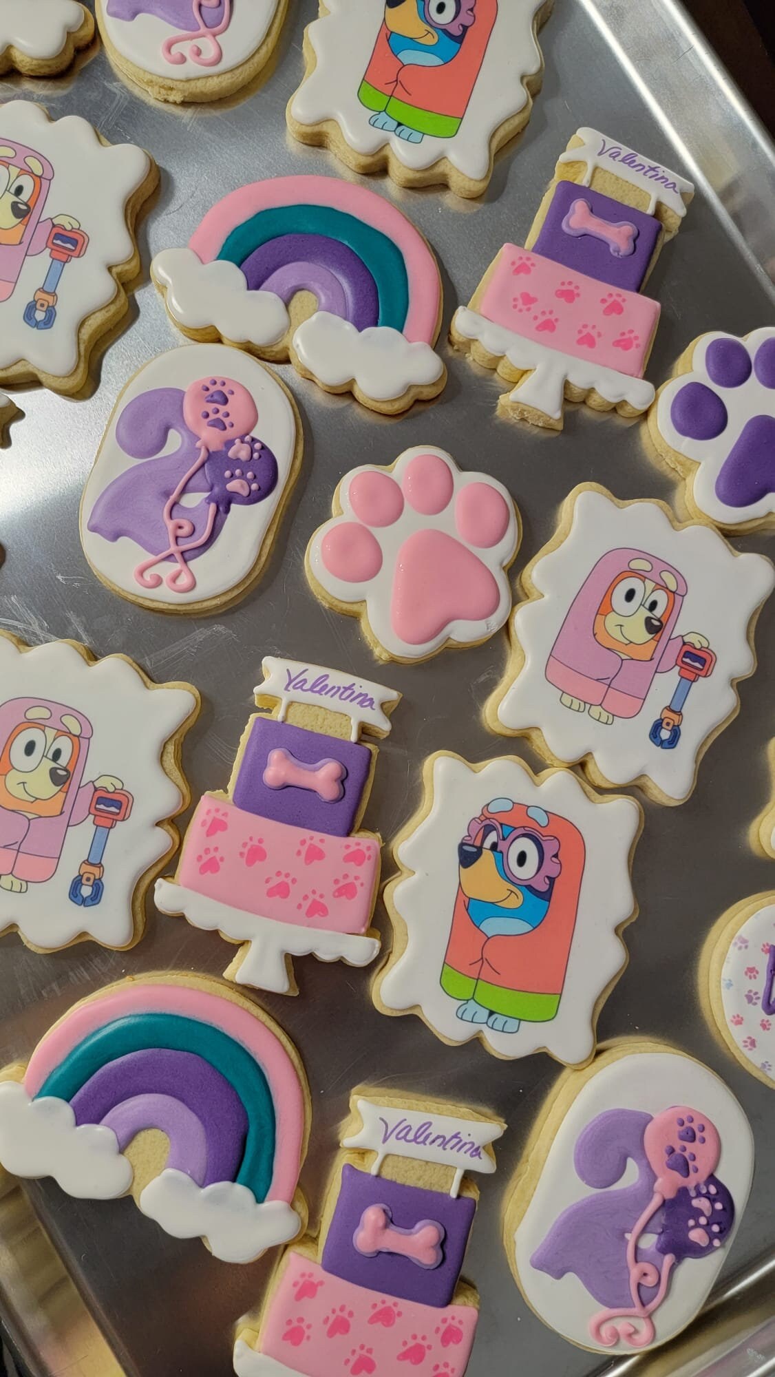 Assorted 1 dozen Pink Blue Bingo Dog Cookies