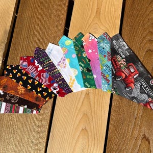 XS Everyday Over-the-Collar Pet Bandanas