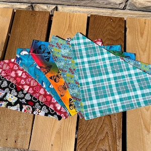 Large Everyday Over-the-Collar Pet Bandanas