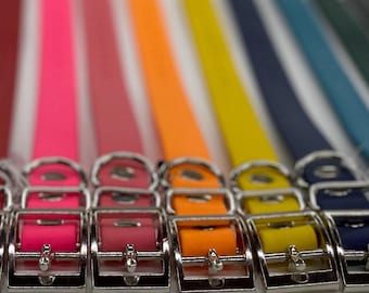 Custom BioThane Dog Collar: Waterproof, Durable Buckle Collar