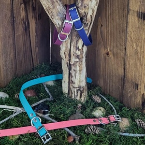 Multi Collars, Dog Collar, Custom Collar, BioThane® Dog Collar, Collar Waterproof, Flat Buckle Collar, Gift for Dog Lover, 3/4&quot; Width Collar