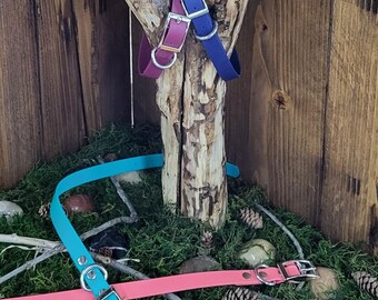 BioThane Dog Collar: Waterproof Custom Flat Buckle Collar