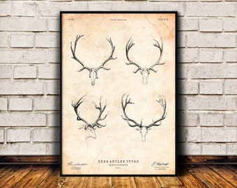 Deer antlers print, Animal lover gift, Stag art print, Vintage poster