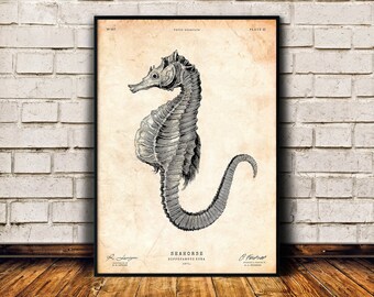 Sea horse print, Beach house decor, Ocean art print, Nautical wall art, Antique marine illustration