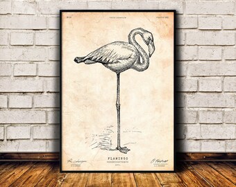 Bird art print, Flamingo gift, Ornithology poster, Vintage wall art, Flamingo print