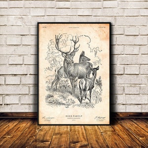 Deer art print, Stag poster, Animal lover gift, Vintage poster, Cabin decor