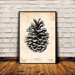 Lodge decor, Pinecone print, Botanical print, Pine cone art, Antique decor, Vintage poster
