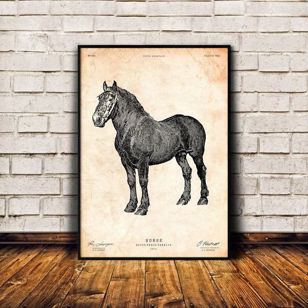 Equine print, Horse gift, Farm house decor, Rustic wall art, Countryside artwork