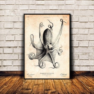 Octopus print, Nautical wall art, Vintage poster, Octopus art, Beach house decor