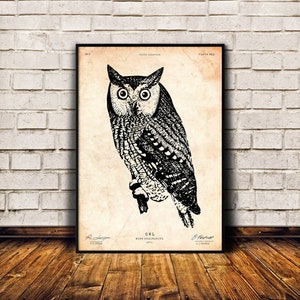Horned owl print, Bird poster, Cabin wall art, Antique decor
